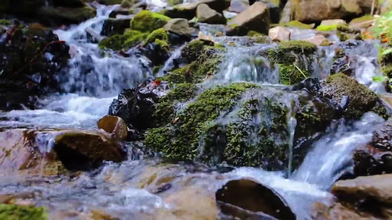 Join the European Industrial Hemp Association